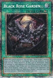 Black Rose Garden