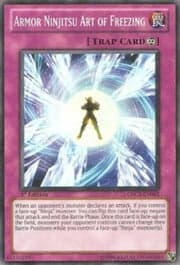 Armor Ninjitsu Art of Freezing